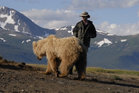 grizzly bear viewing Alaska